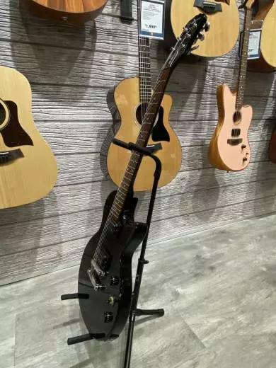 Epiphone - ELPVVECH 2